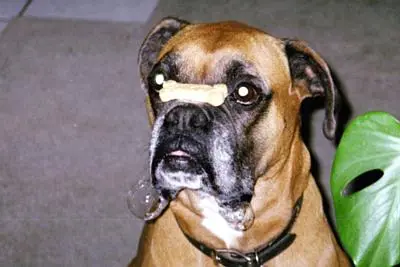 stay... stay... stay....webp