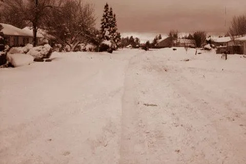 street.jpg