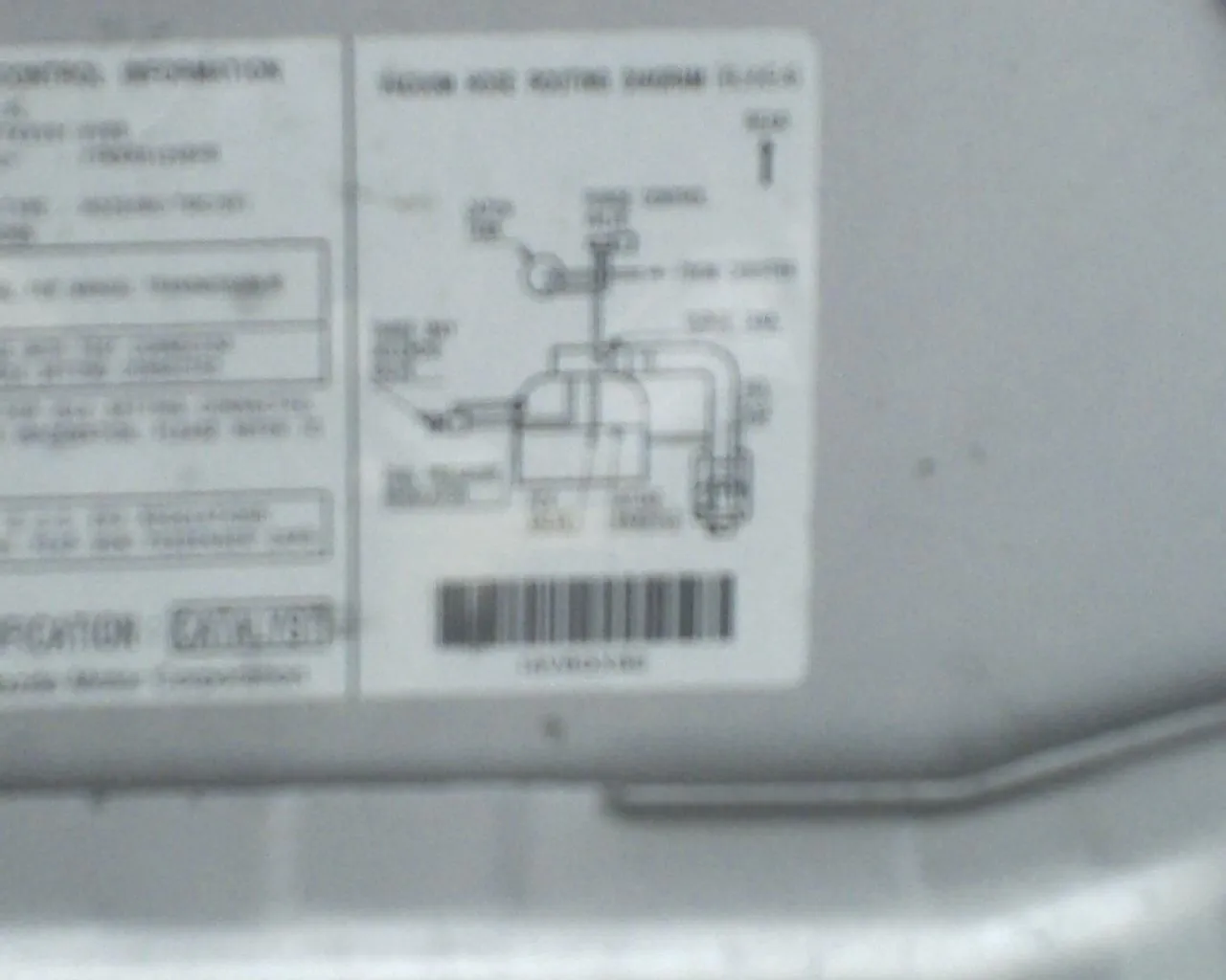 SUNP0016.JPG