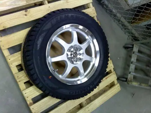 tamswheels.jpg