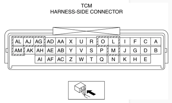 TCM-pinout.webp