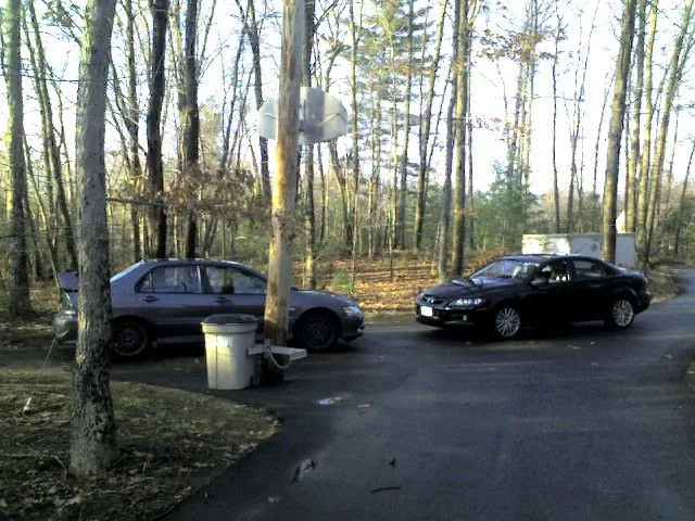 the whips 2.jpg