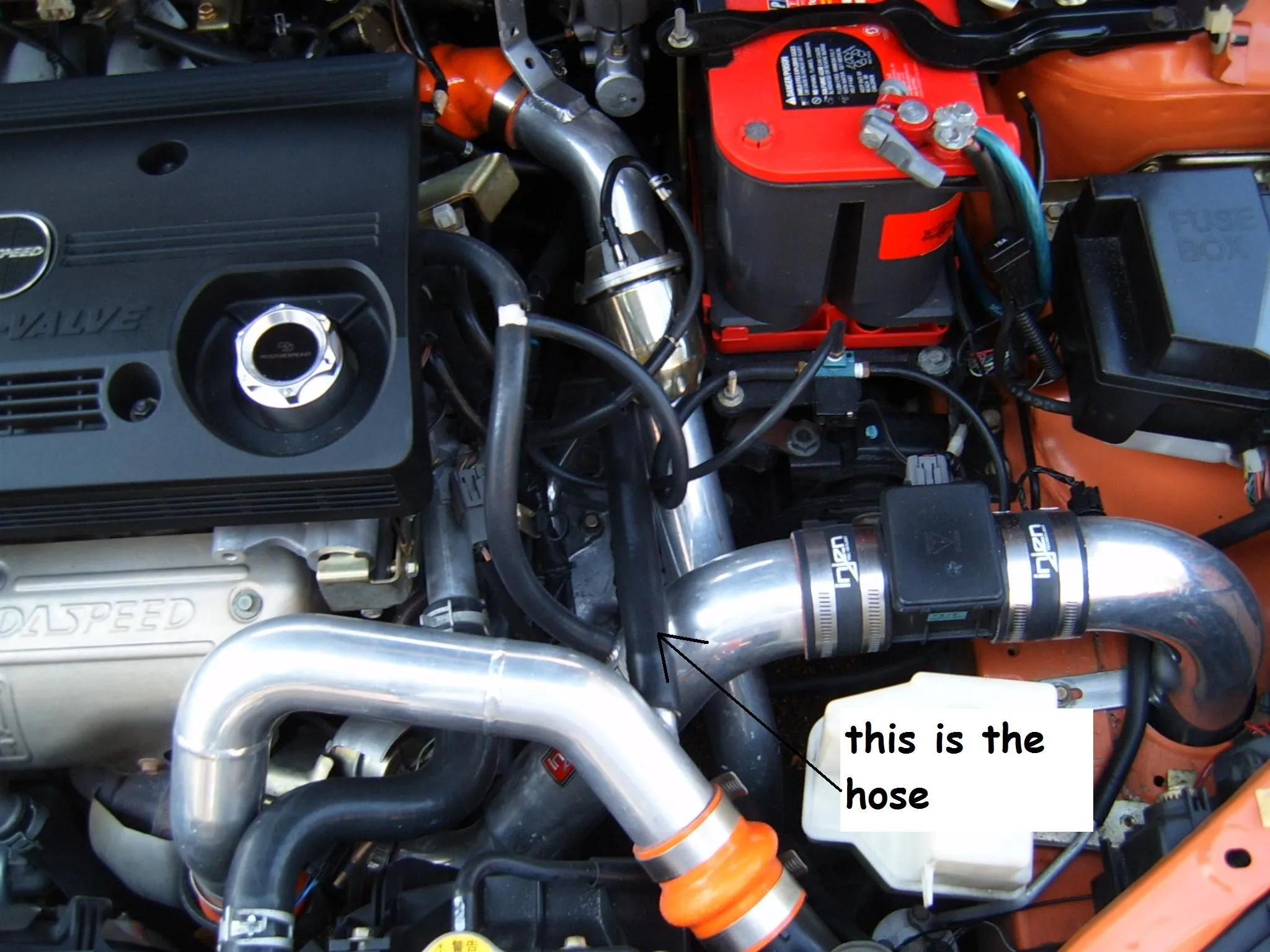 this hose.JPG