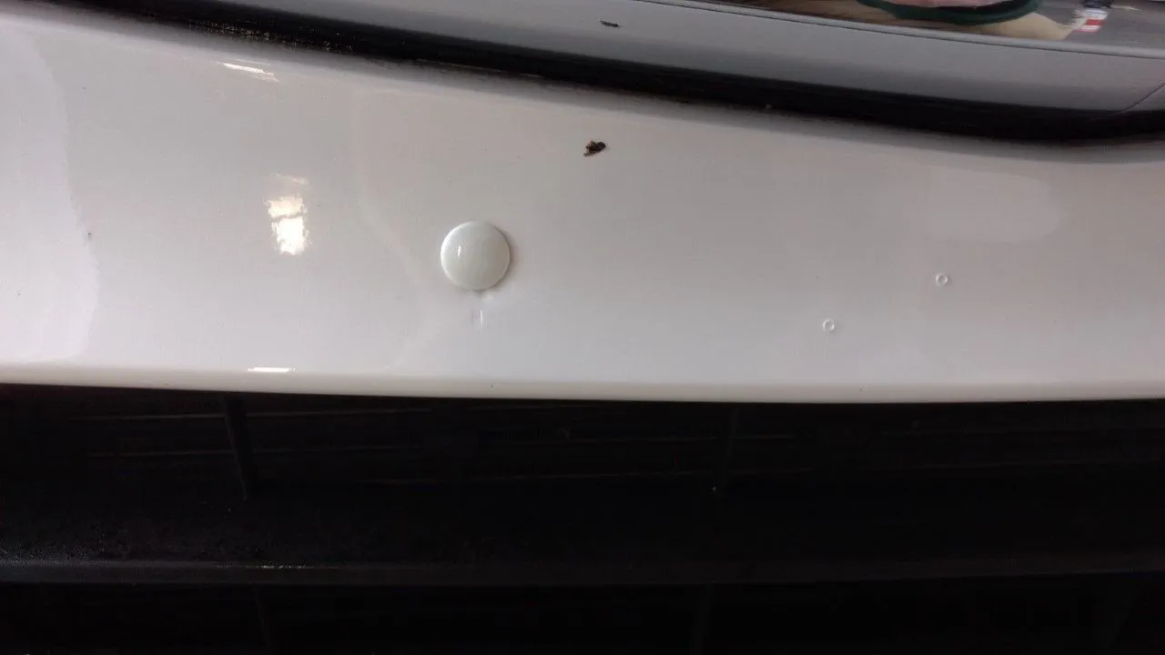 thumbnail_IMG_20190406_074620681_5.jpg