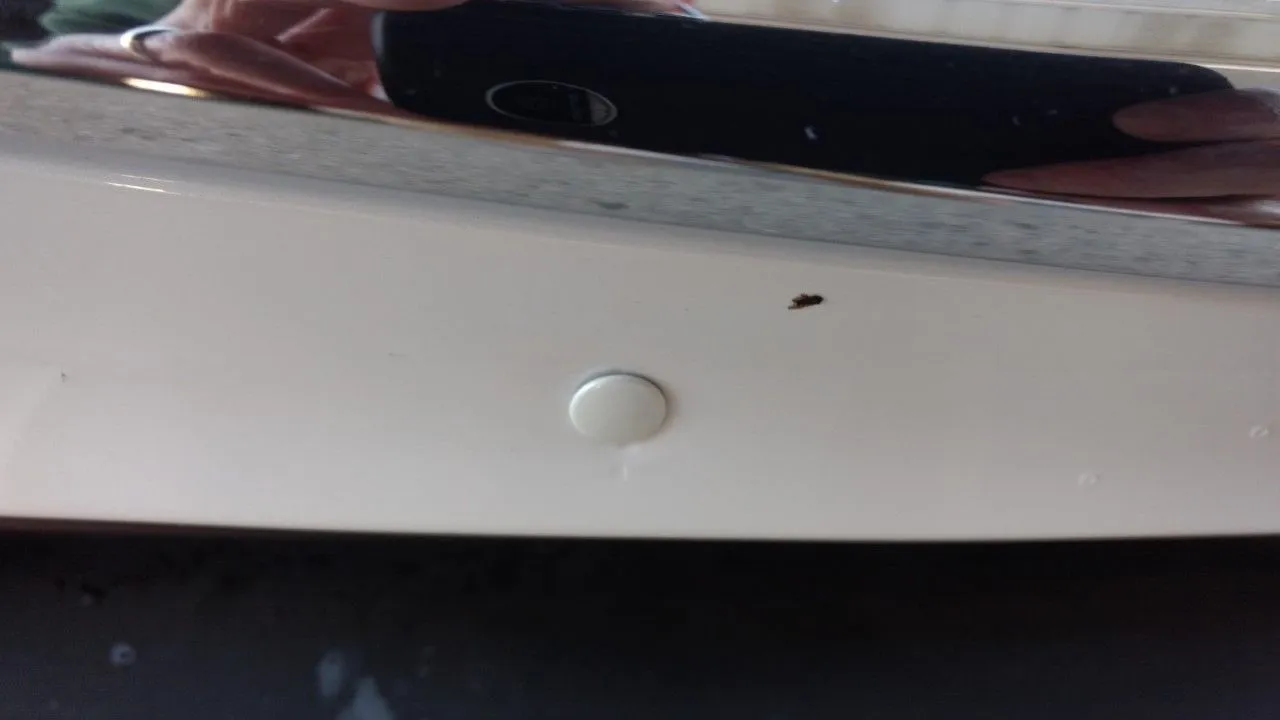 thumbnail_IMG_20190406_074710821_6.jpg
