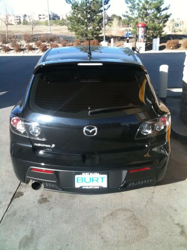 tint back.jpg