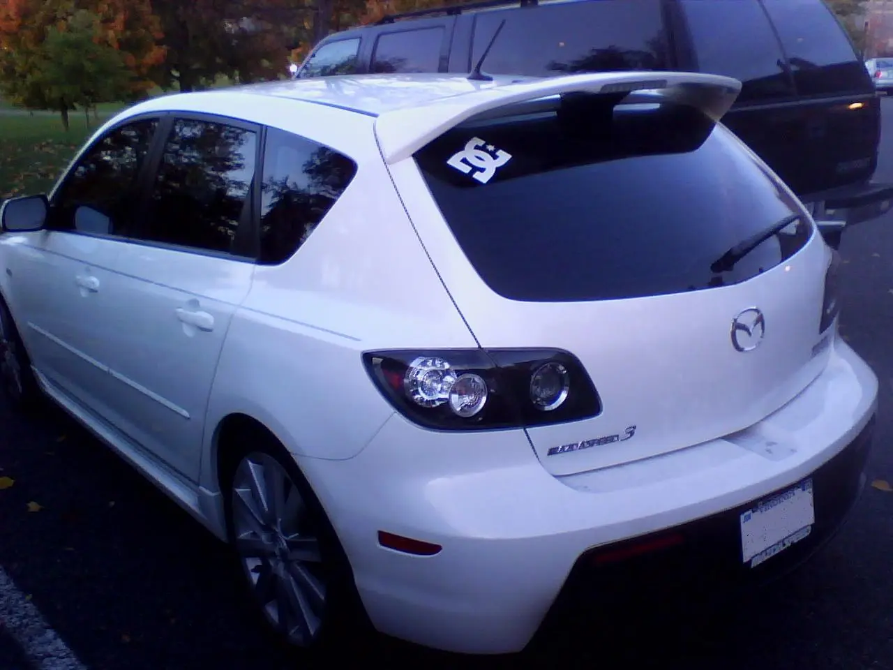 tint1license.JPG
