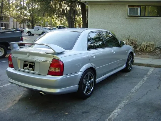 tint_sideback.jpg