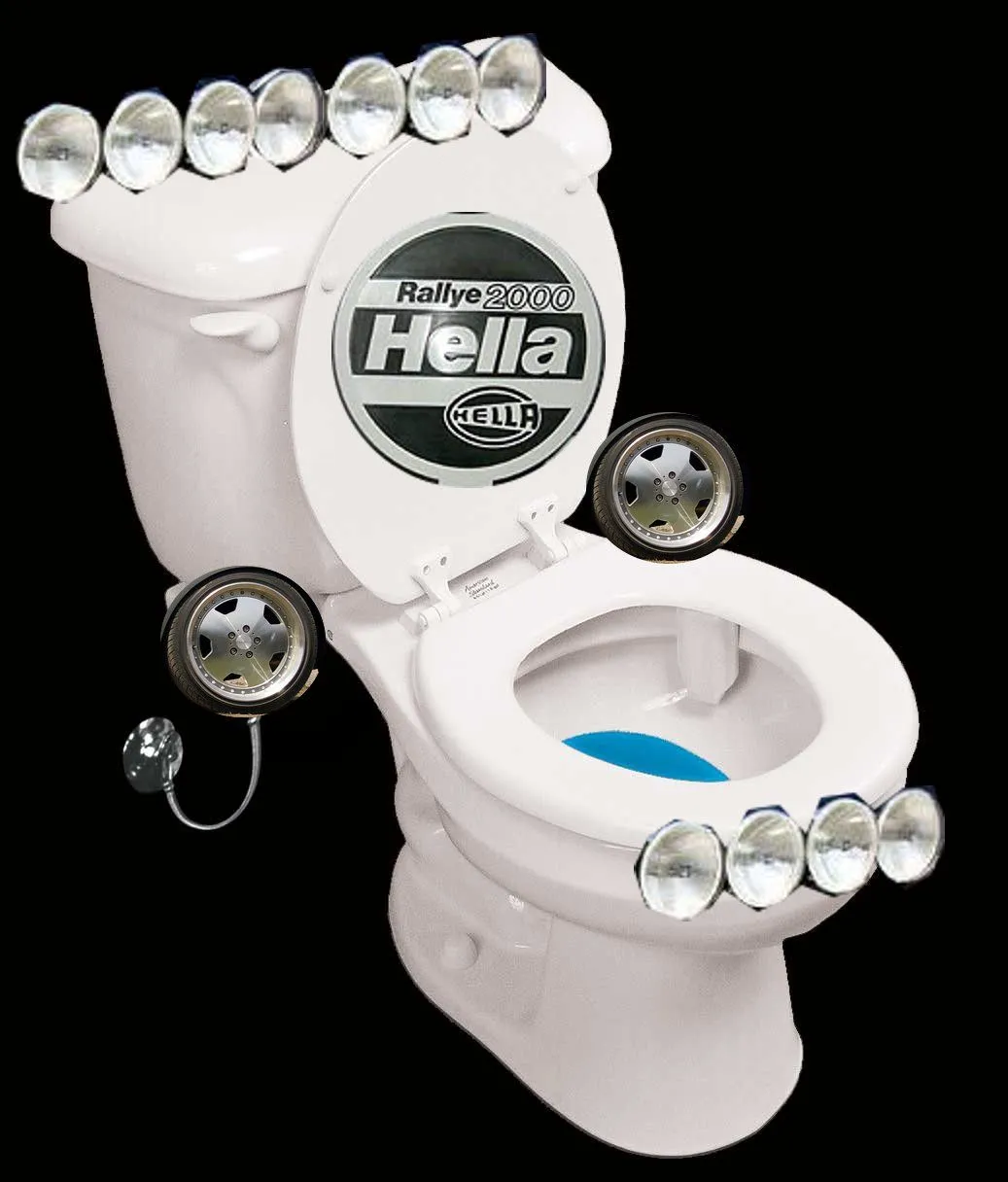 toilet-installed.webp