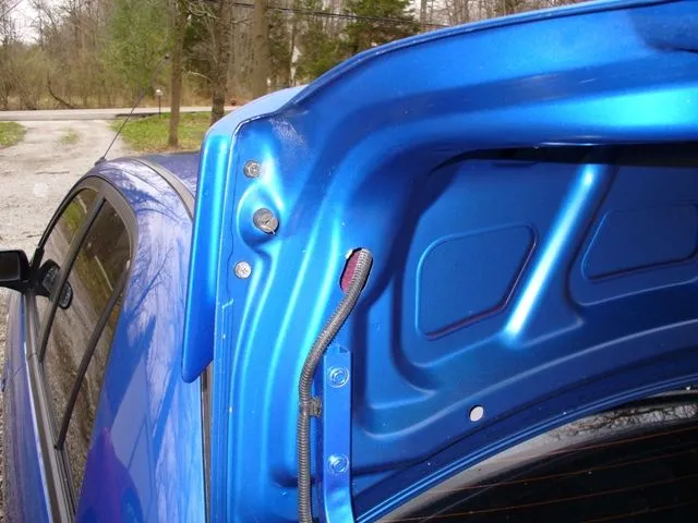 Trunk 003.jpg