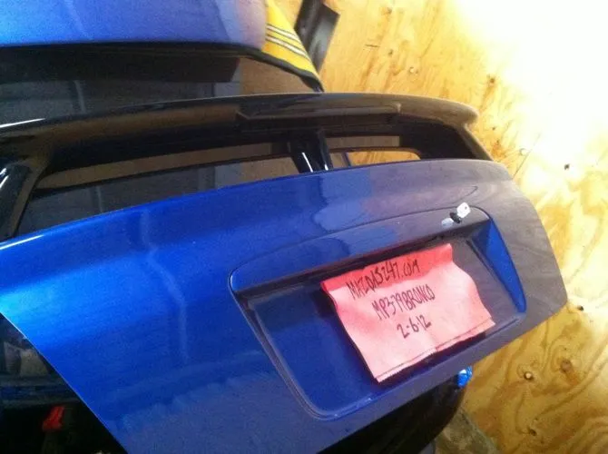trunk.webp