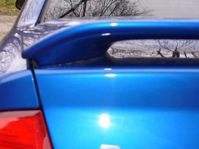 Trunk1 001.jpg
