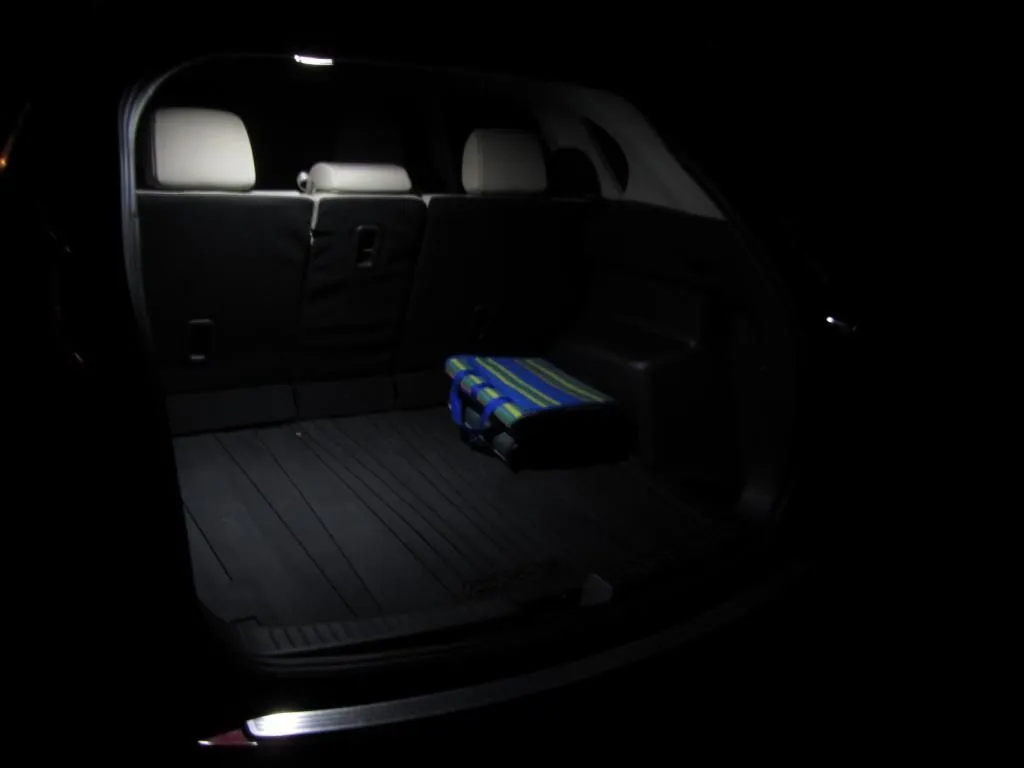 TrunkLightNight4.jpg
