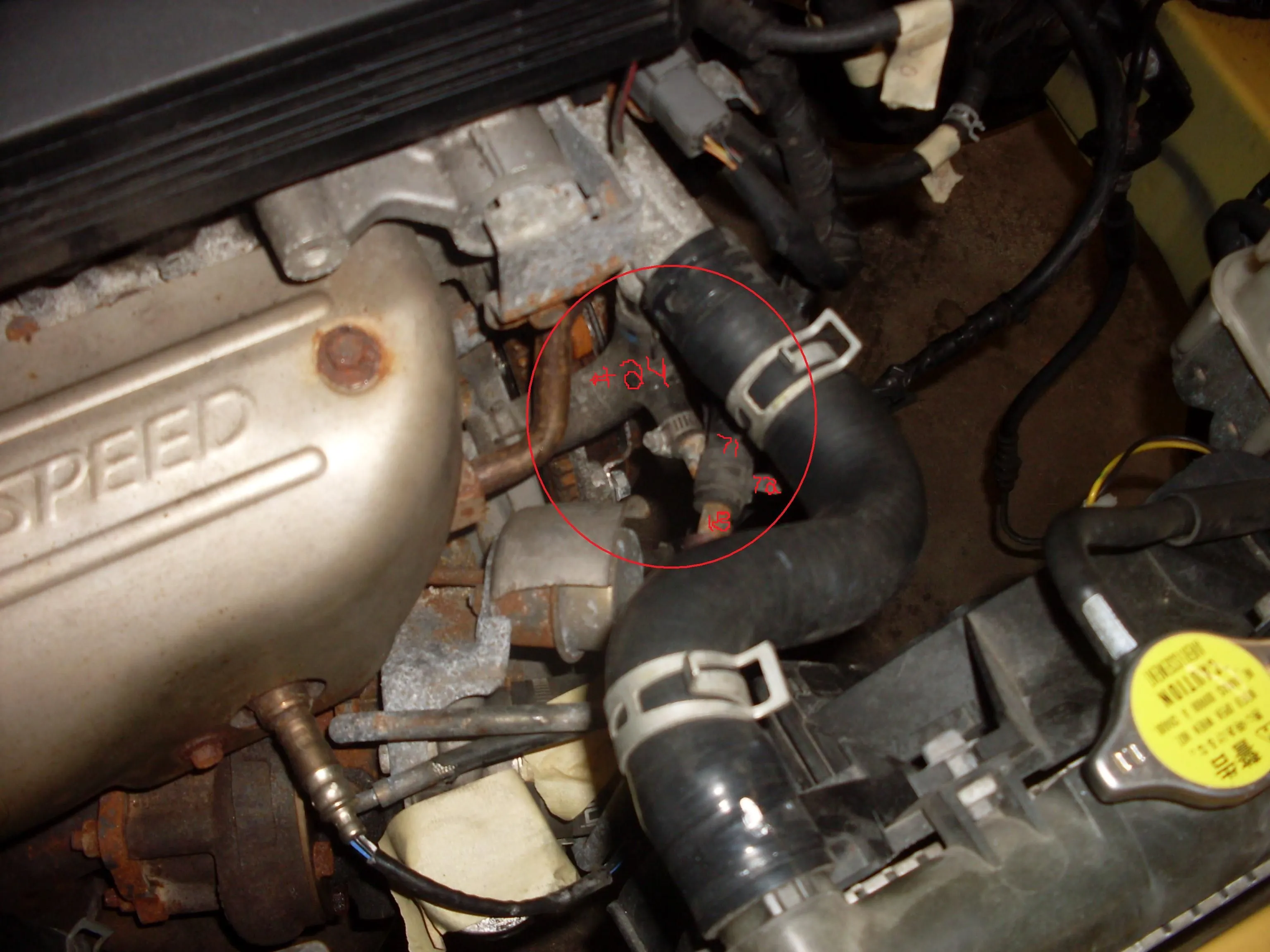 Upper and Lower Coolant Lines.jpg