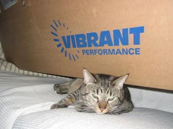 vibrantison 026.2.JPG