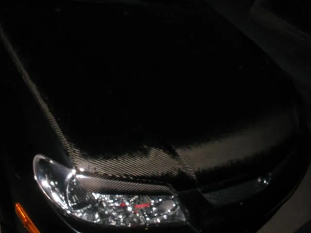 VisCFHood 003.jpg