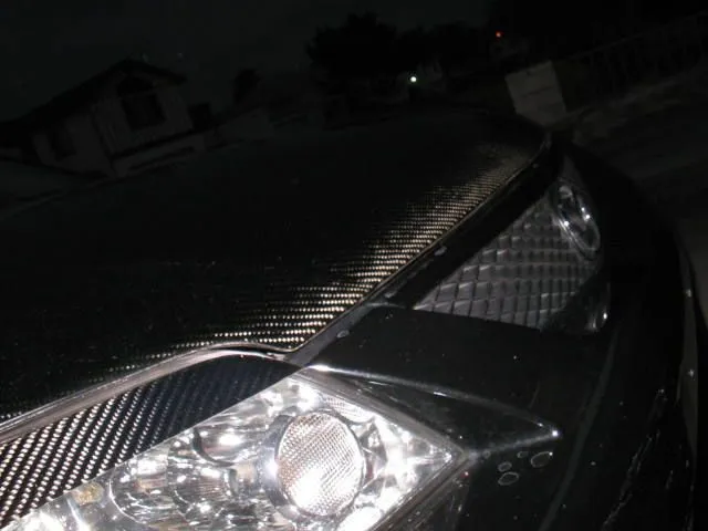 VisCFHood 005.jpg