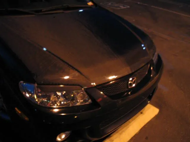 VisCFHood 008.jpg