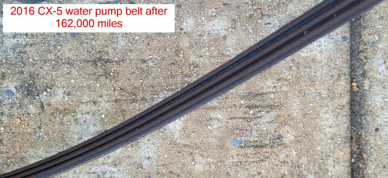 water pump belt.jpg