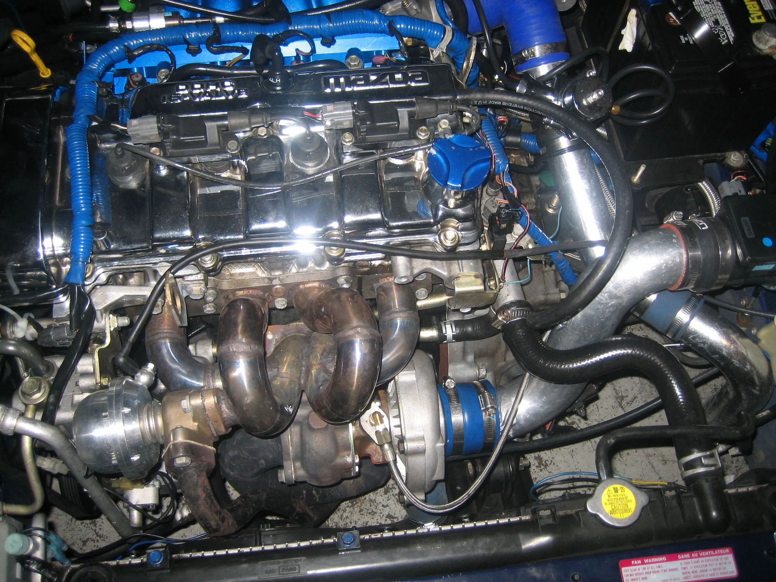 waymons protege 031.jpg