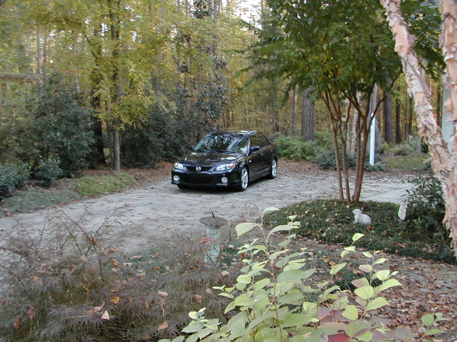 weak calender shot.webp