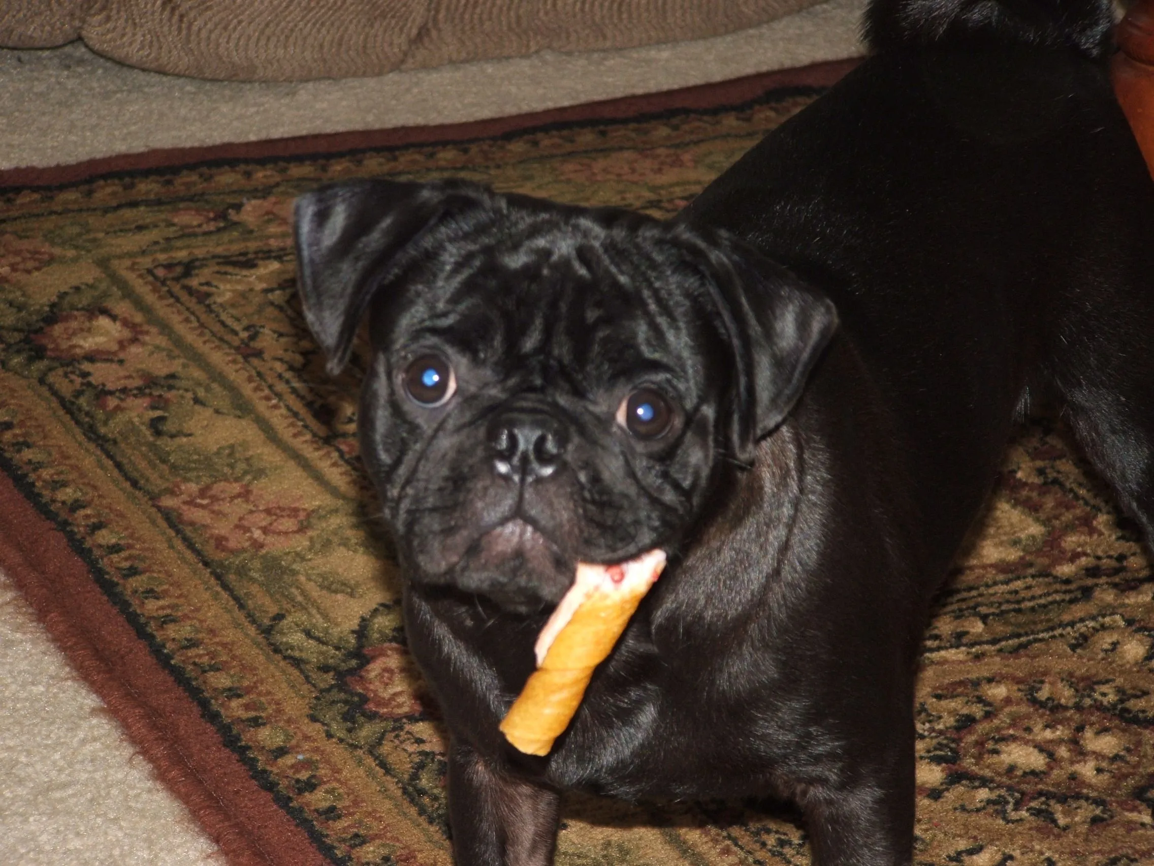 Weiss' Christmas 2005-58.webp