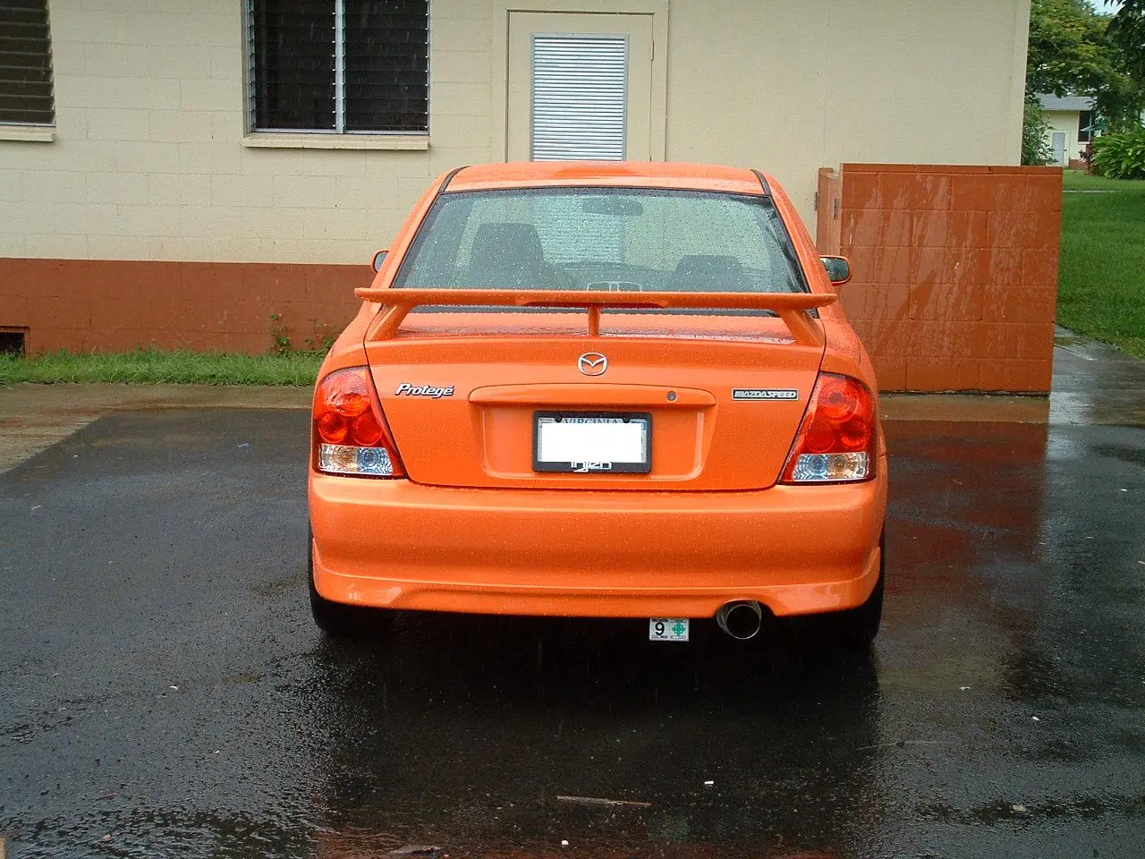 Wet 004.jpg