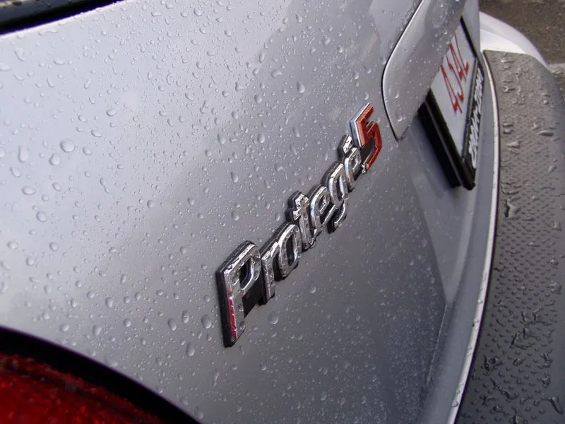 wet p5 3.jpg