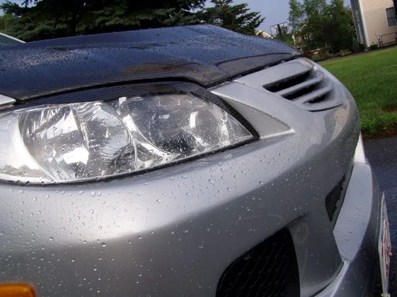 wet p5 4.jpg