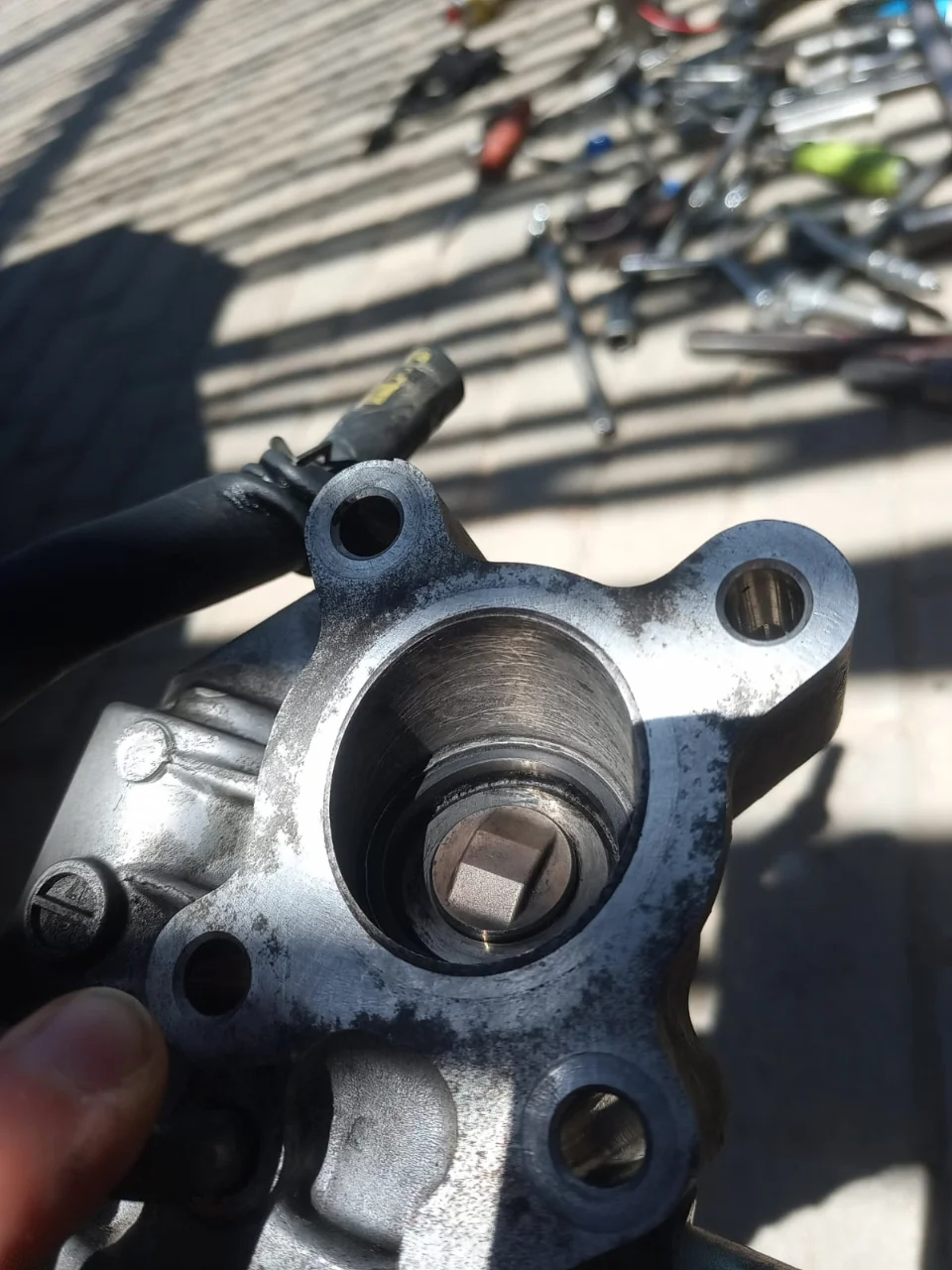 WhatsApp Image 2024-10-06 at 20.08.49_01a811a3.webp