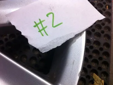 Wheel #2-2.webp