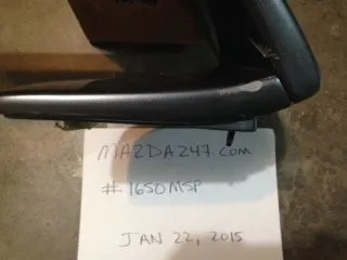 wing2.webp