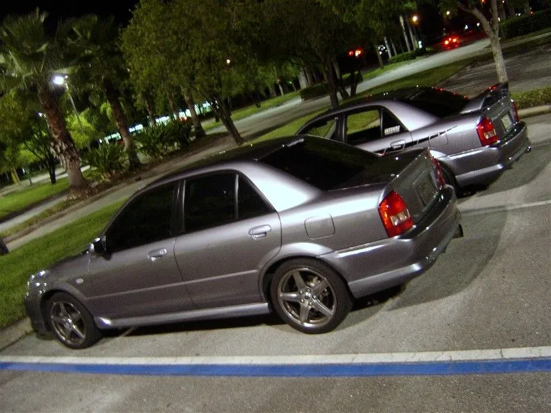 wingless comparo 1.webp