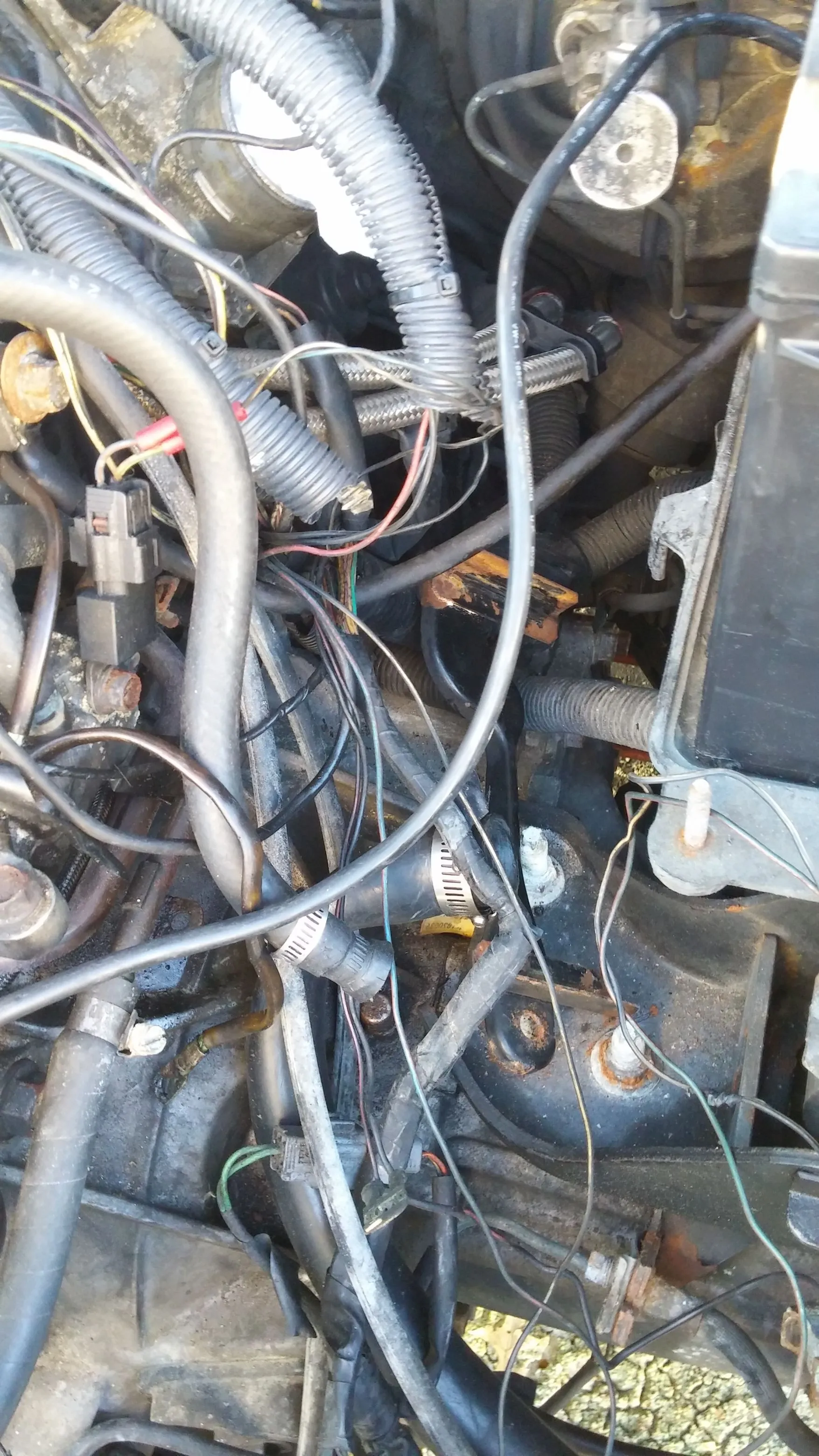wires3.jpg