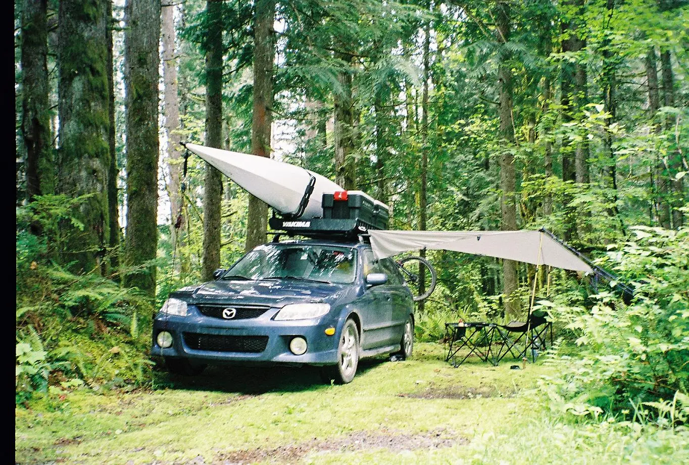 woodsp5.JPG