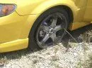 wreck 2.jpg