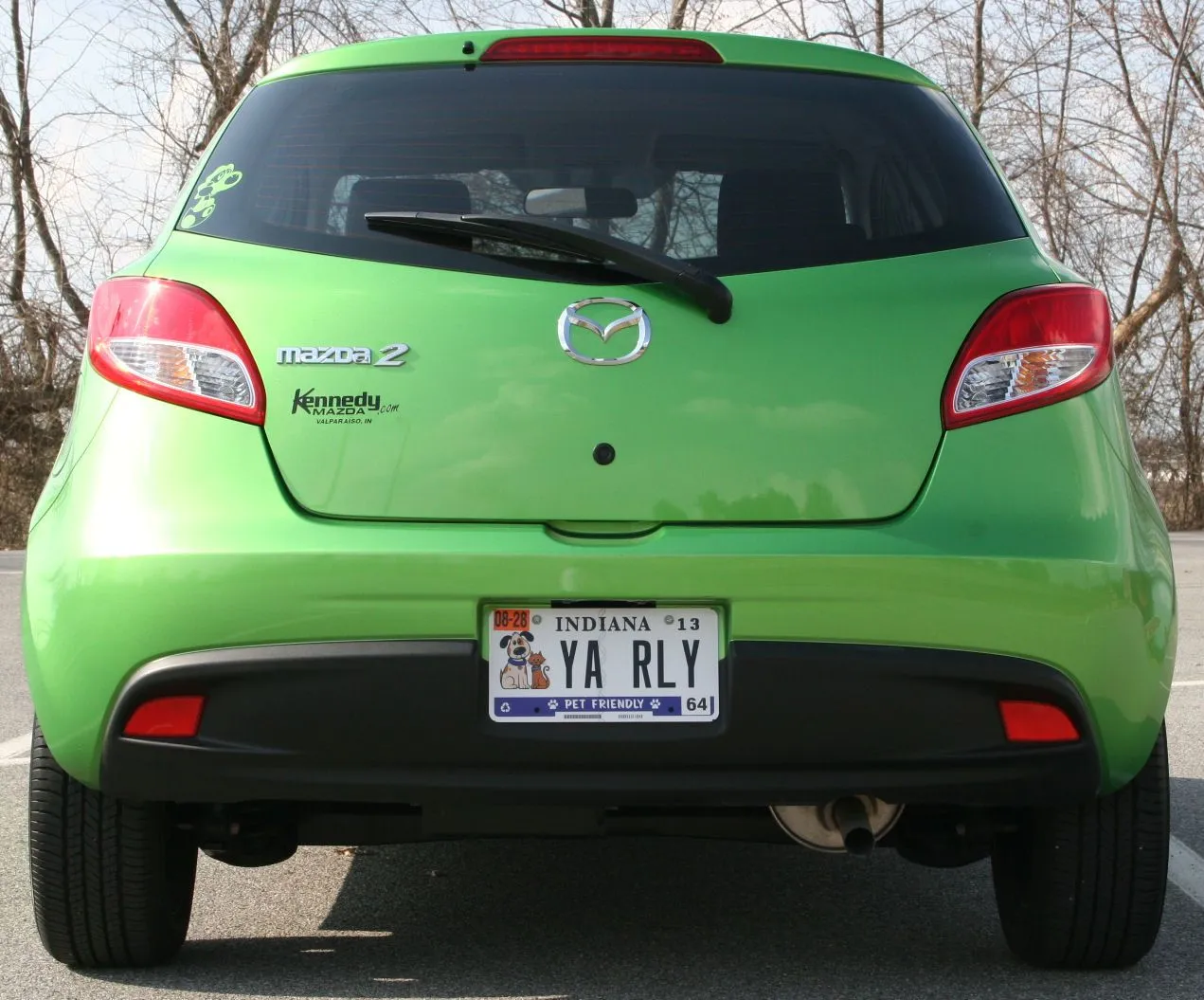 Yoshi2-1.jpg