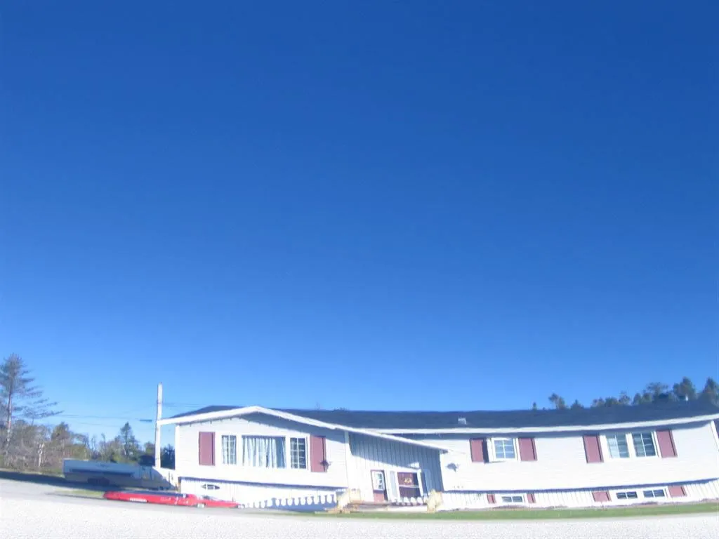 zaino after one application of z5 (9) (Large).webp