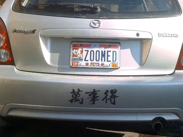 Zoomed1.jpg