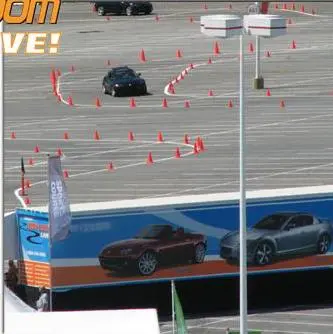 zoomLive.JPG