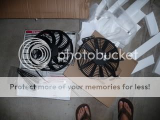 P1010221.jpg