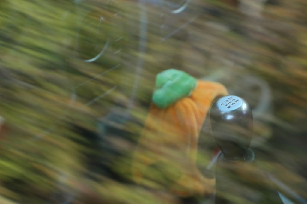 DSC_0786.jpg