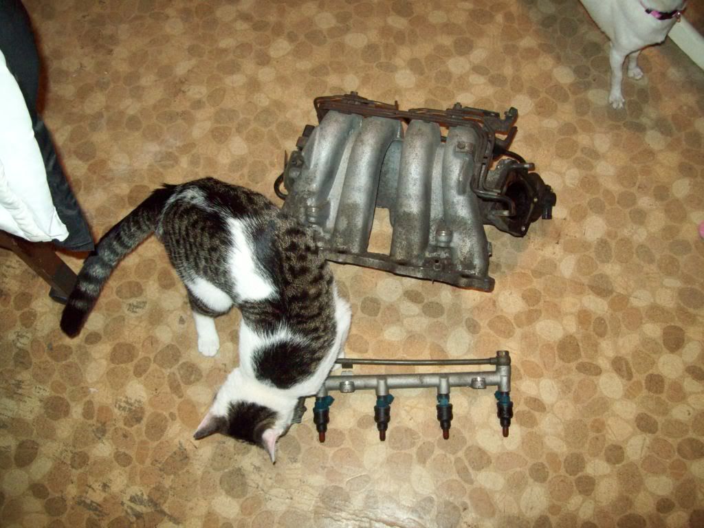 100_1081.jpg