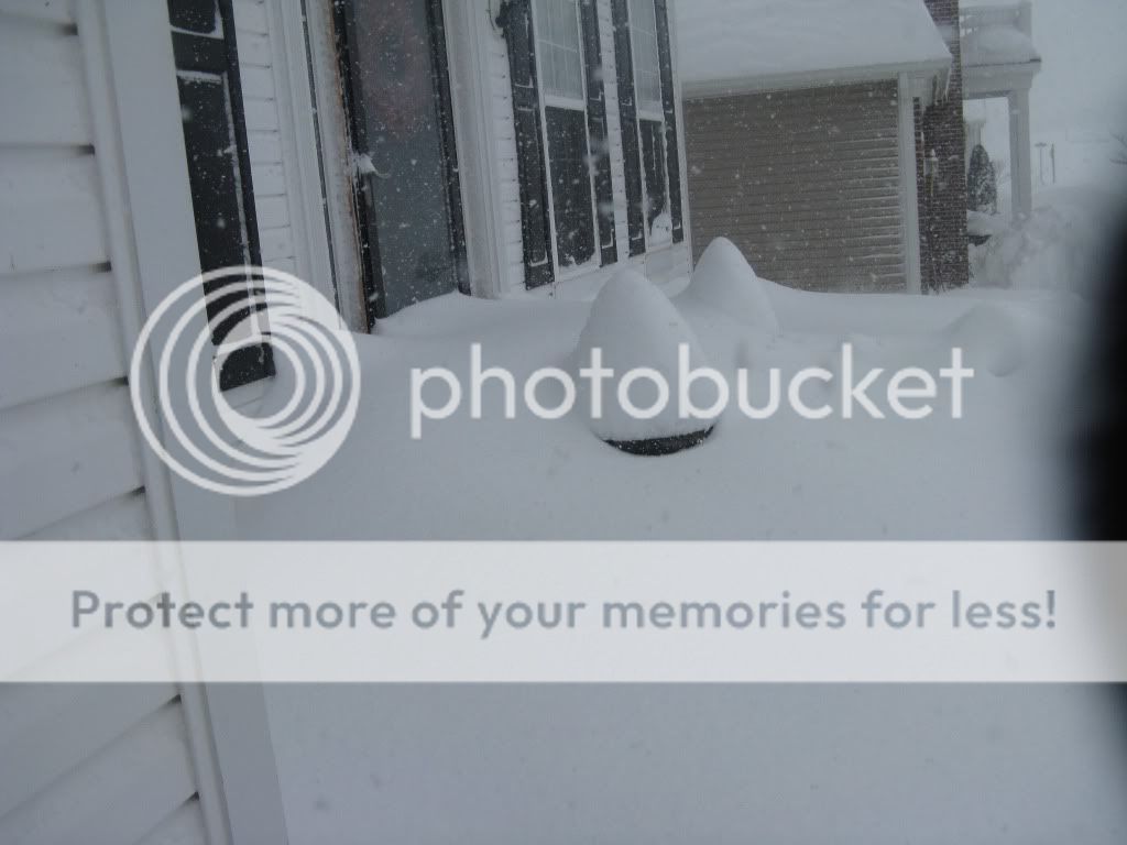 020610snow2.jpg