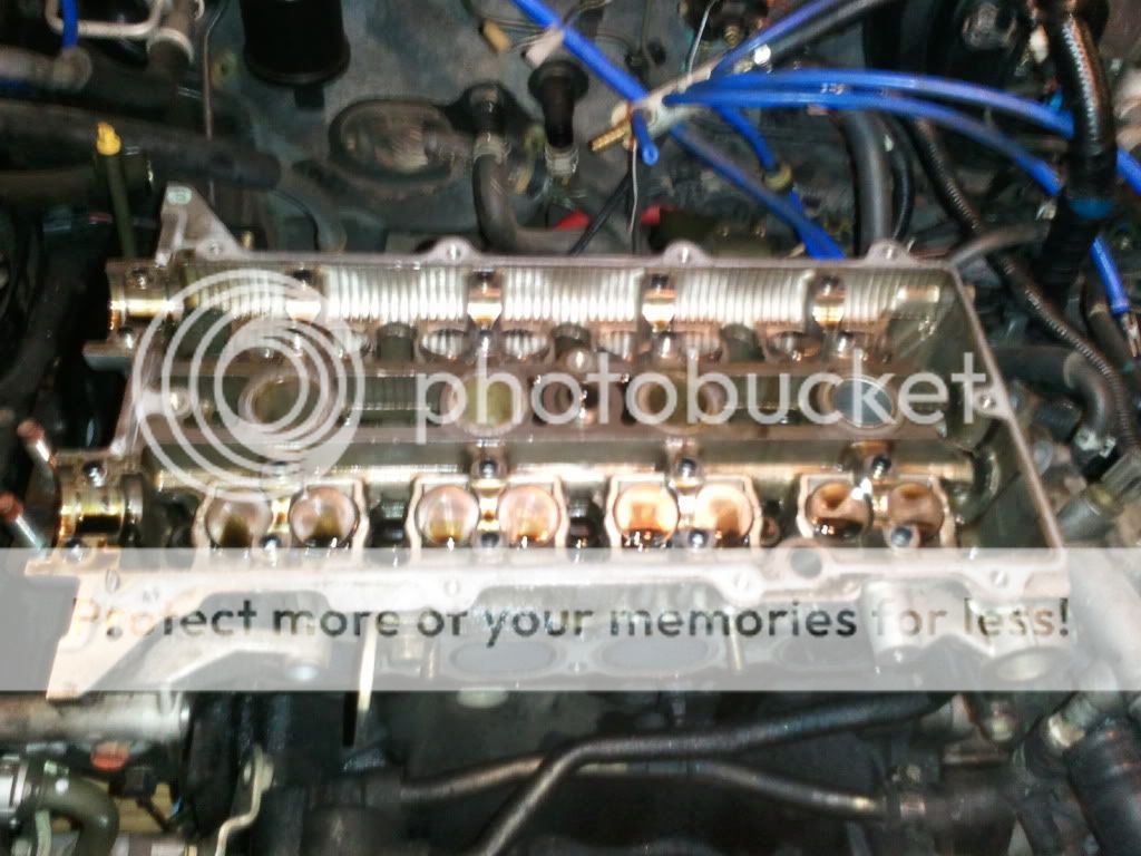 2011-07-20074806.jpg