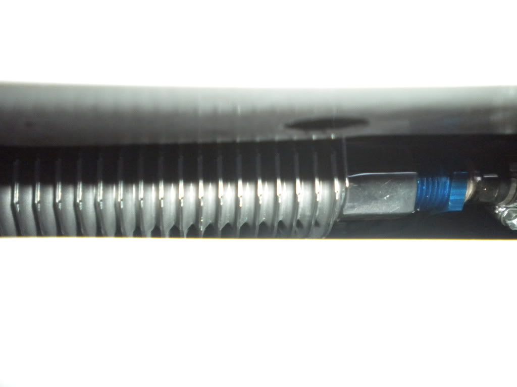 DSCN0776.jpg