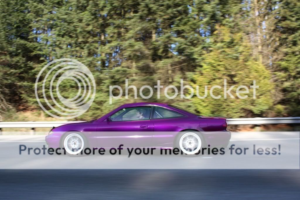 mike8.jpg