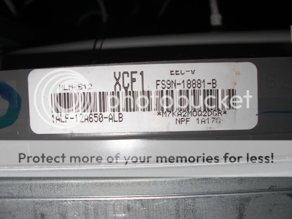 CIMG0527-1.jpg