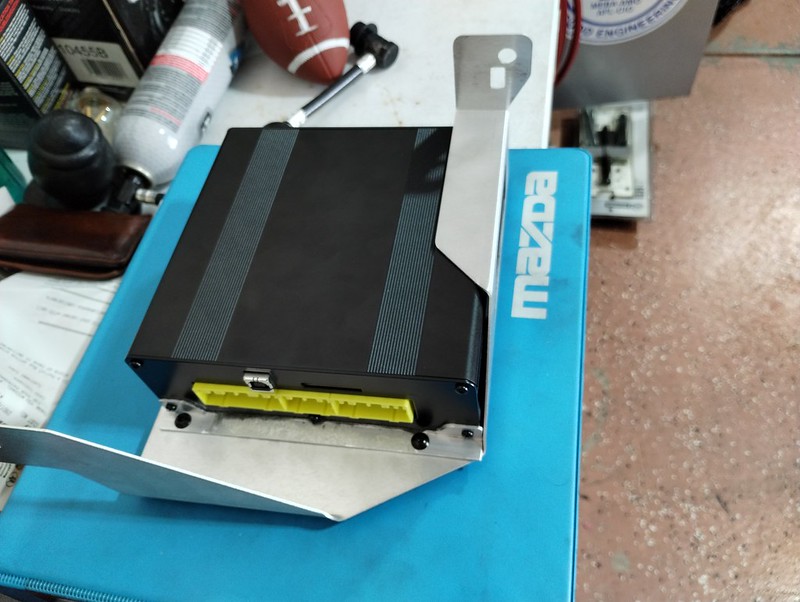 53923861125_117bcd6347_c.jpg