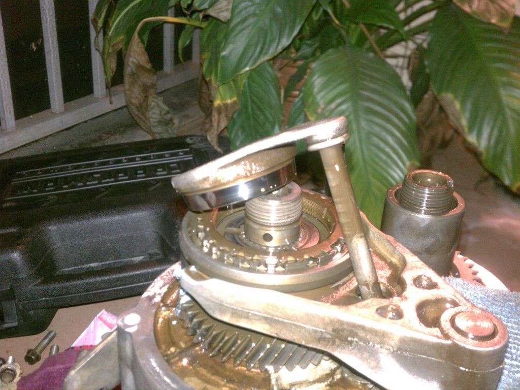 IMG_20120403_204848.jpg